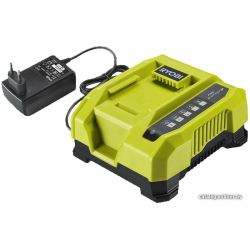             Зарядное устройство Ryobi RY36C60A 5133004555 (36 В)        