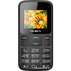             Мобильный телефон TeXet TM-B208 (черный)        