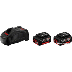             Аккумулятор с зарядным устройством Bosch 1600A00B8J (18В/5 а*ч + 14.4-18В)        