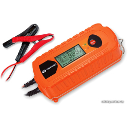             Зарядное устройство Daewoo Power DW800        