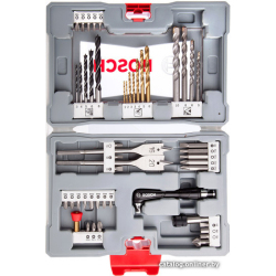             Набор оснастки Bosch 2608P00233 (49 предметов)        