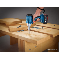             Ударный гайковерт Bosch GDS 250-LI Professional 06019G6120 (с 2-мя АКБ)        
