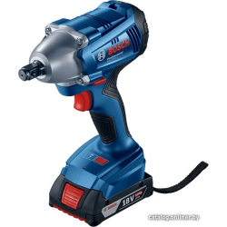             Ударный гайковерт Bosch GDS 250-LI Professional 06019G6120 (с 2-мя АКБ)        