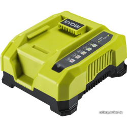             Зарядное устройство Ryobi RY36C60A 5133004555 (36 В)        