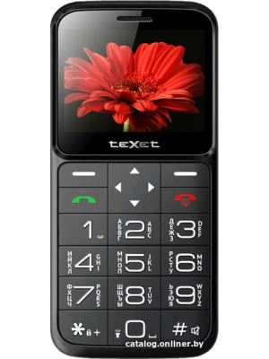             Мобильный телефон TeXet TM-B226 (черный)        