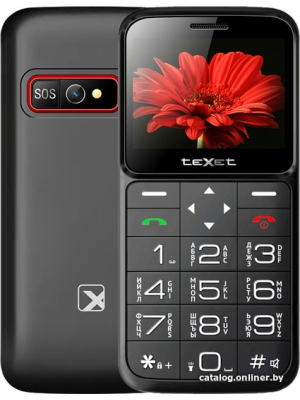             Мобильный телефон TeXet TM-B226 (черный)        
