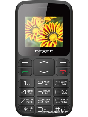             Мобильный телефон TeXet TM-B208 (черный)        