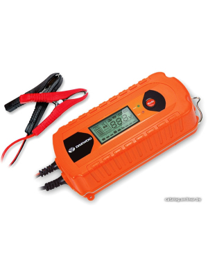             Зарядное устройство Daewoo Power DW800        