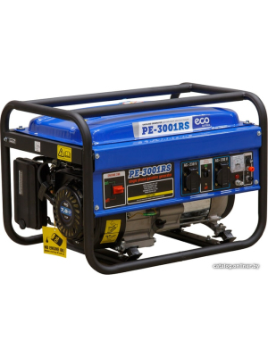             Бензиновый генератор ECO PE-3001RS        