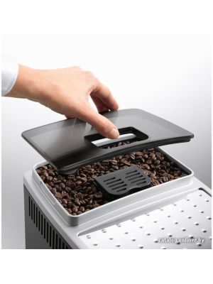             Эспрессо кофемашина DeLonghi Magnifica S ECAM 22.110.B        
