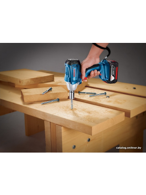            Ударный гайковерт Bosch GDS 250-LI Professional 06019G6120 (с 2-мя АКБ)        